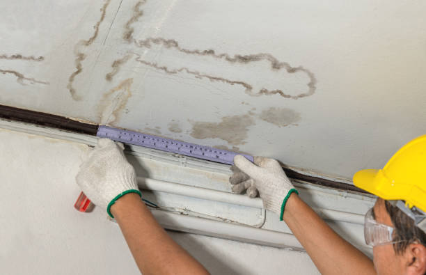 Reliable Sewage Cleanup contractor in Portage Des Sioux, MO by Water Damage Irwin